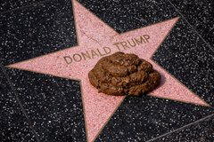 Xprojekt tweet media