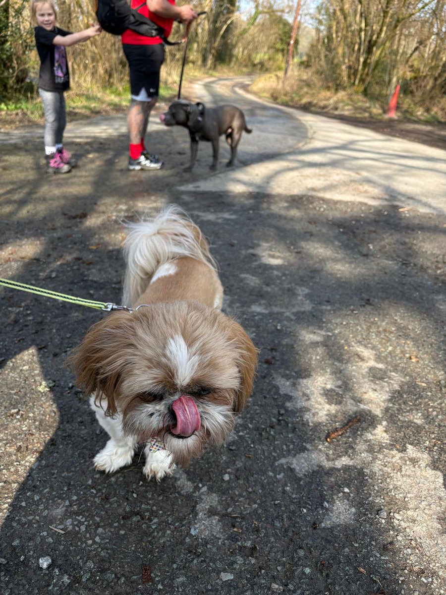 Bella🇬🇧 tweet media