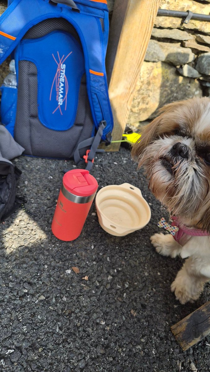 Bella🇬🇧 tweet media