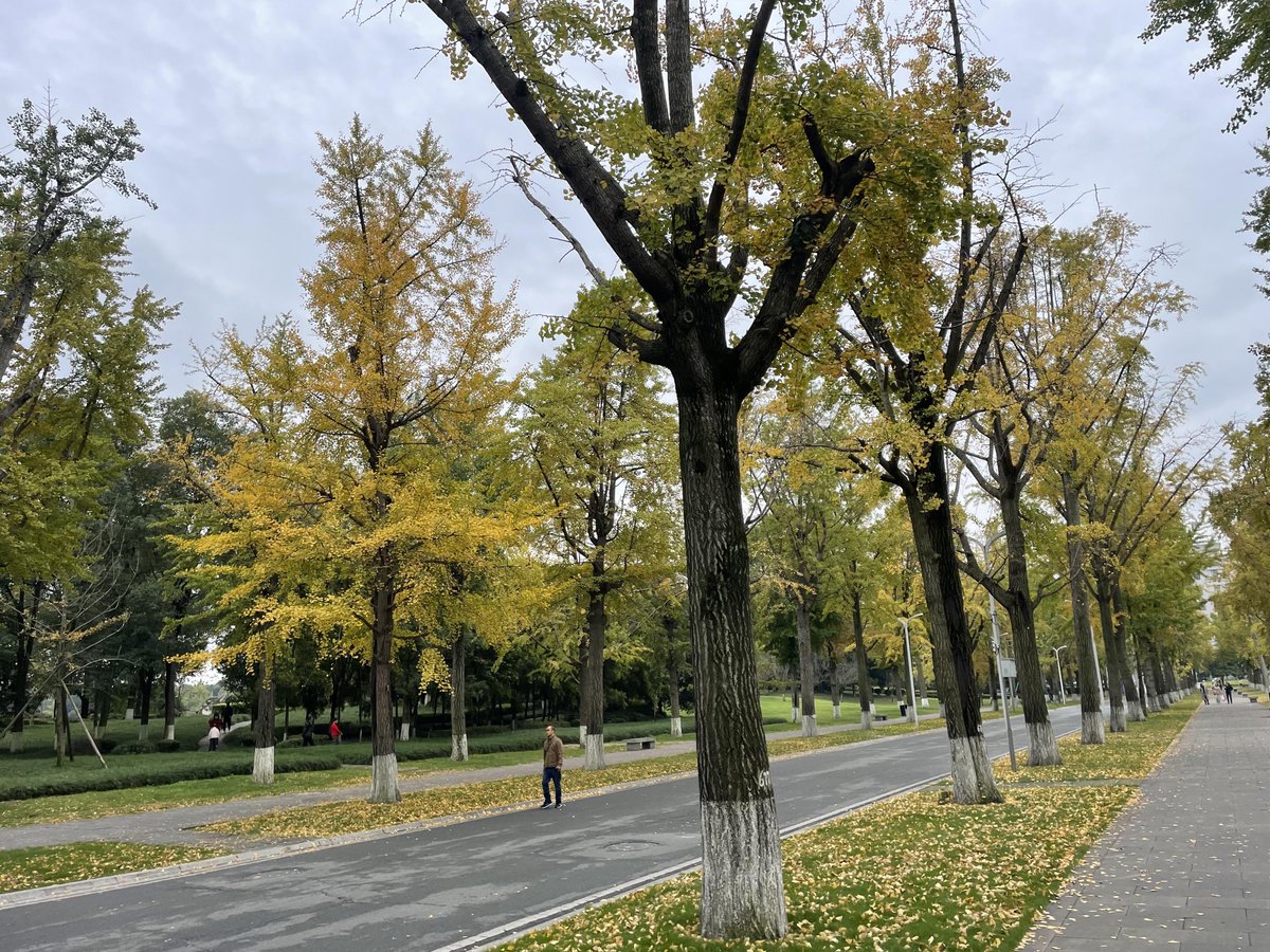 Михаил Кулешов tweet media