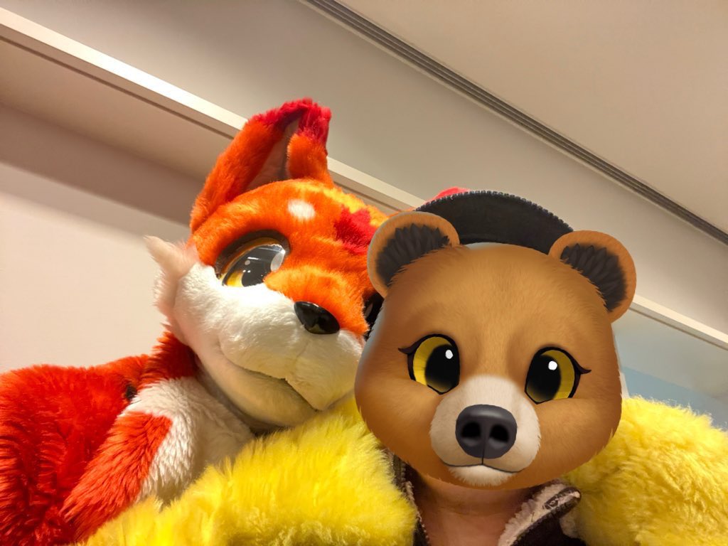 🐻荒熊ヒロ🦝🔰🇯🇵🇵🇭(NEXT→未定)マイペースに浮上 tweet media