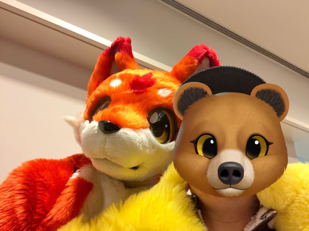 🐻荒熊ヒロ🦝🔰🇯🇵🇵🇭(NEXT→未定)マイペースに浮上 tweet media