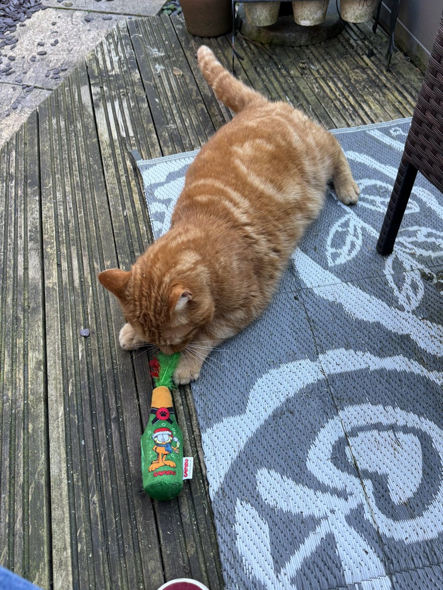 FC Of Stourbridge Junction tweet media