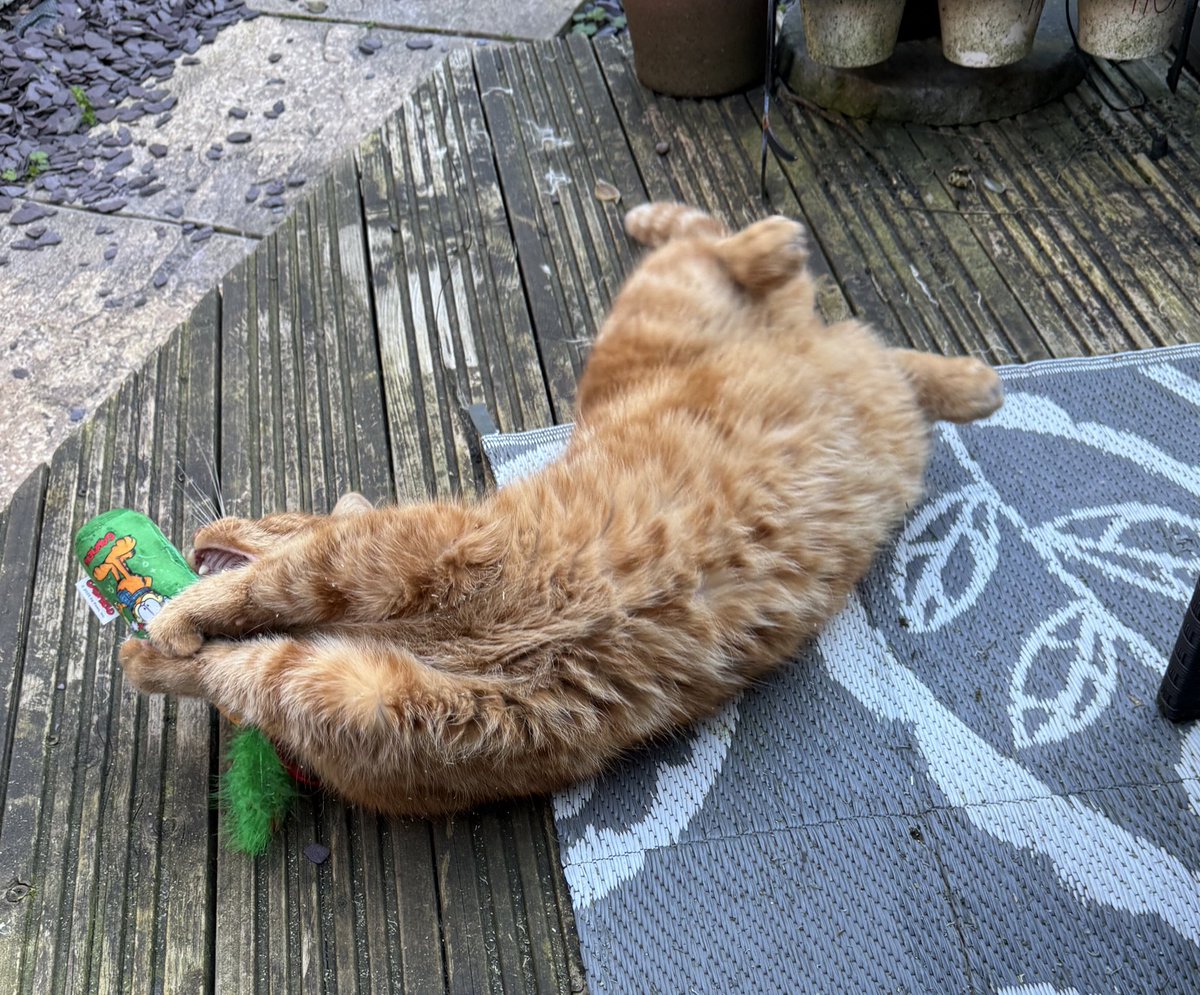 FC Of Stourbridge Junction tweet media