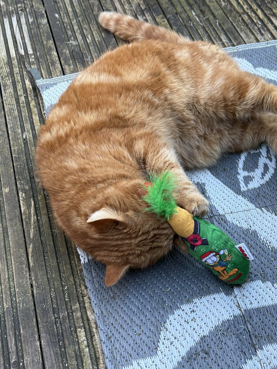 FC Of Stourbridge Junction tweet media