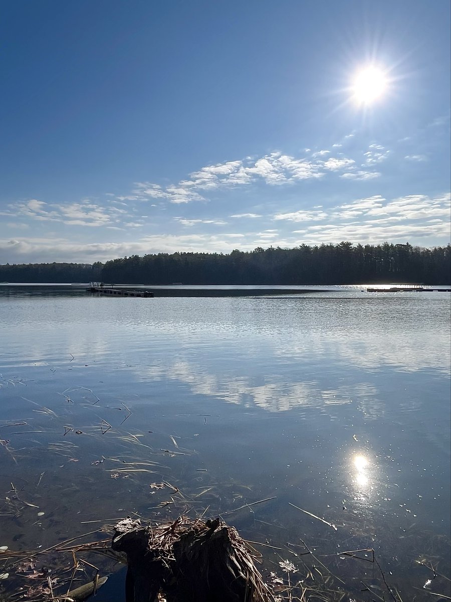 Felicity tweet media