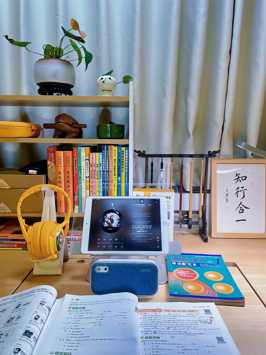 shamima mahamad tweet media