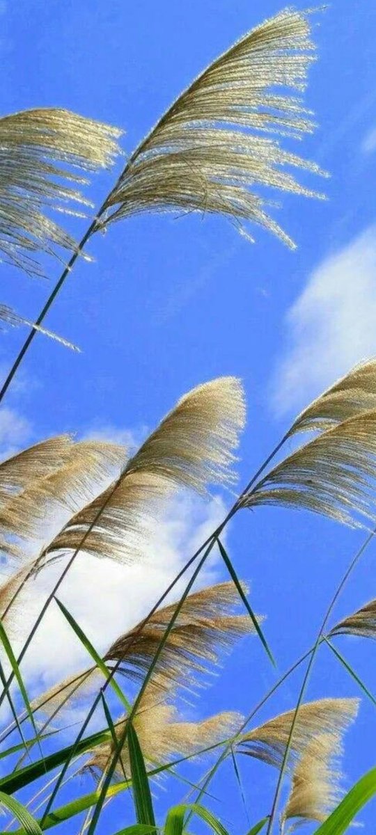 Bryan Stansell tweet media