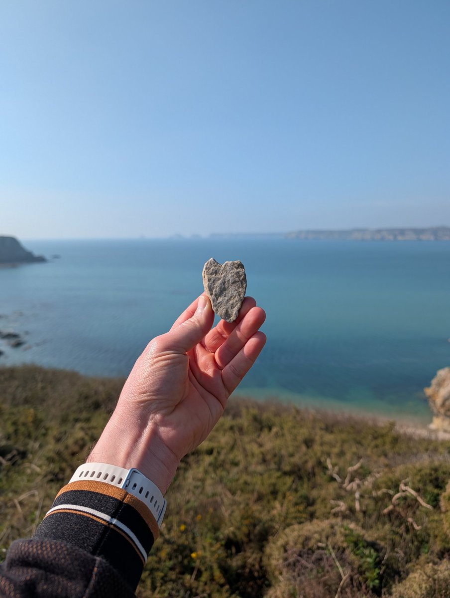 Xray_breizh tweet media