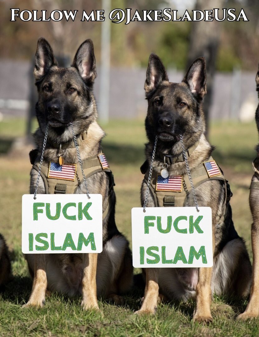 Jake Slade tweet media