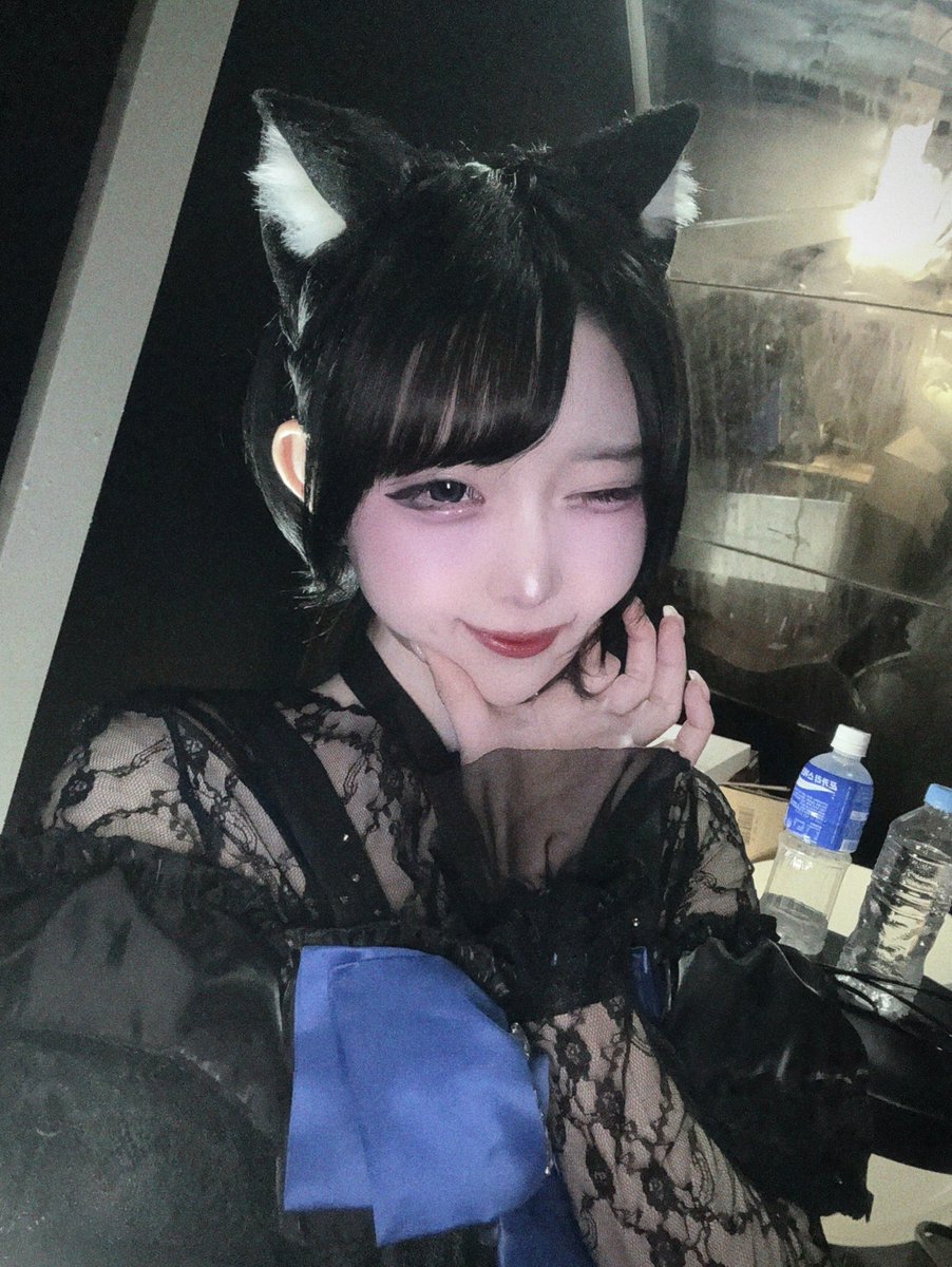 노아 Noa 🦕 tweet media