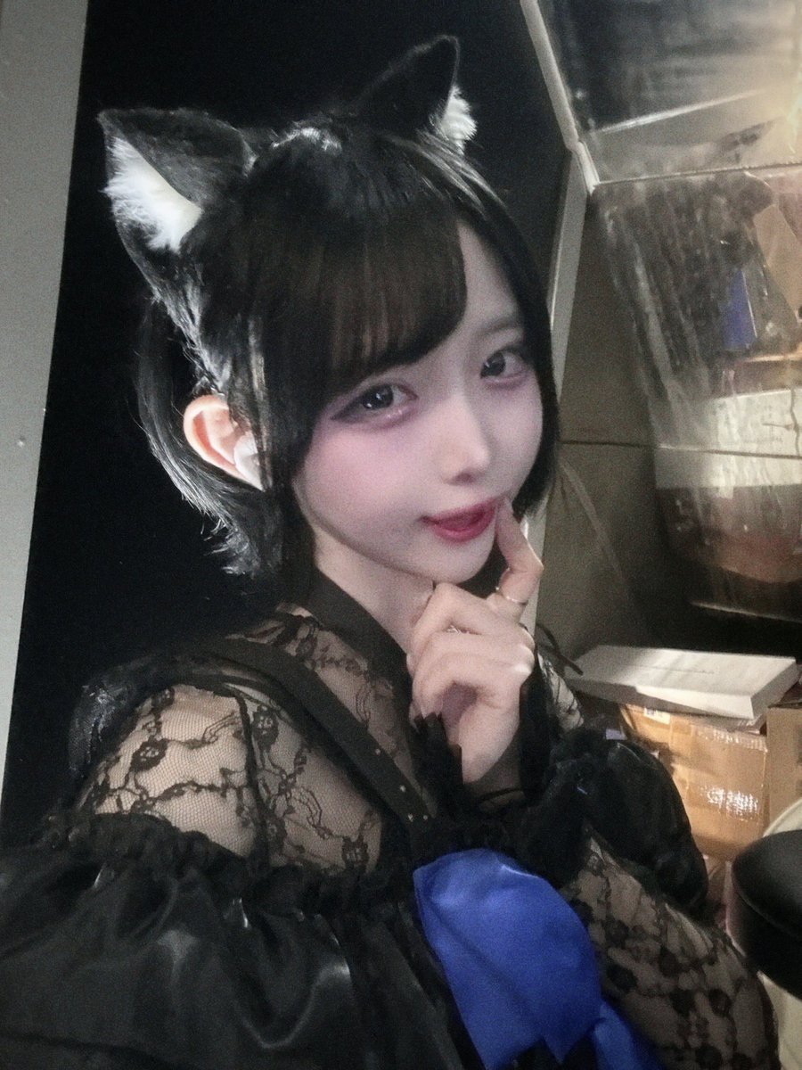 노아 Noa 🦕 tweet media