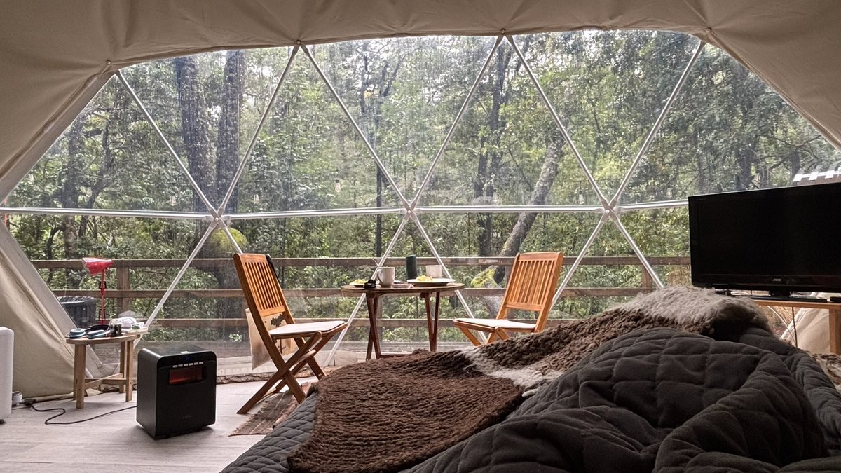 María Olvidos. tweet media