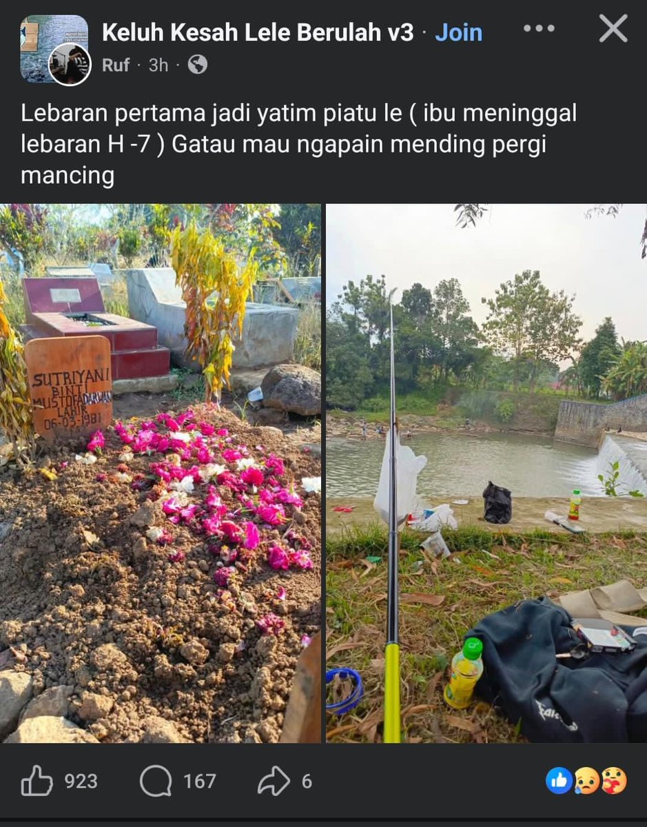 insignificant other tweet media