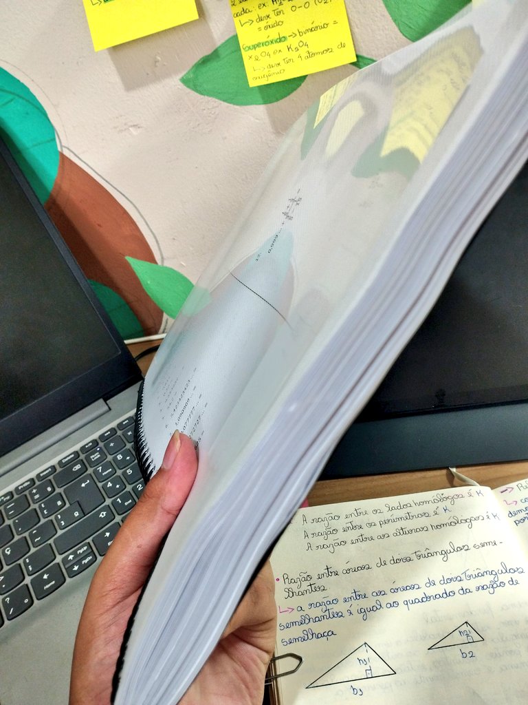 Alice 🩺 tweet media