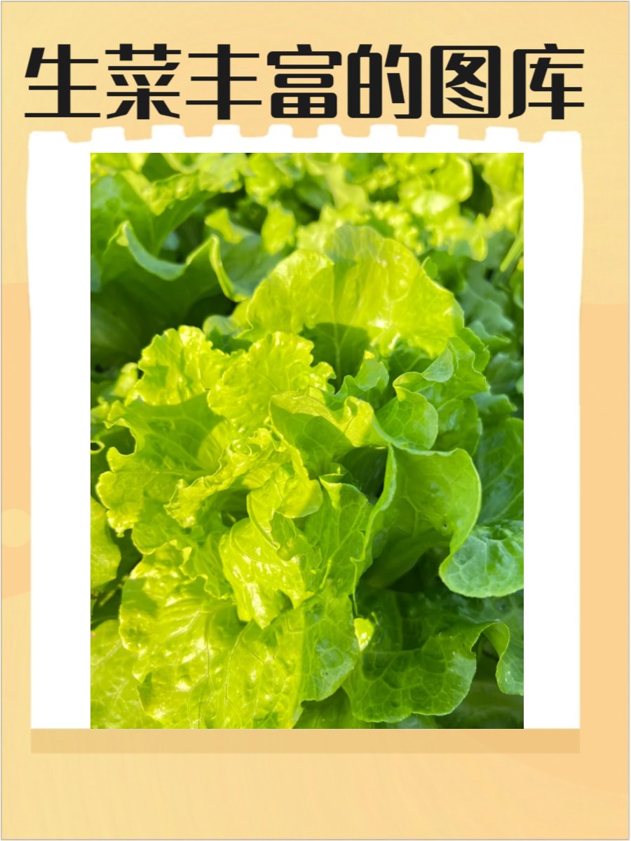 Money Blim$ tweet media