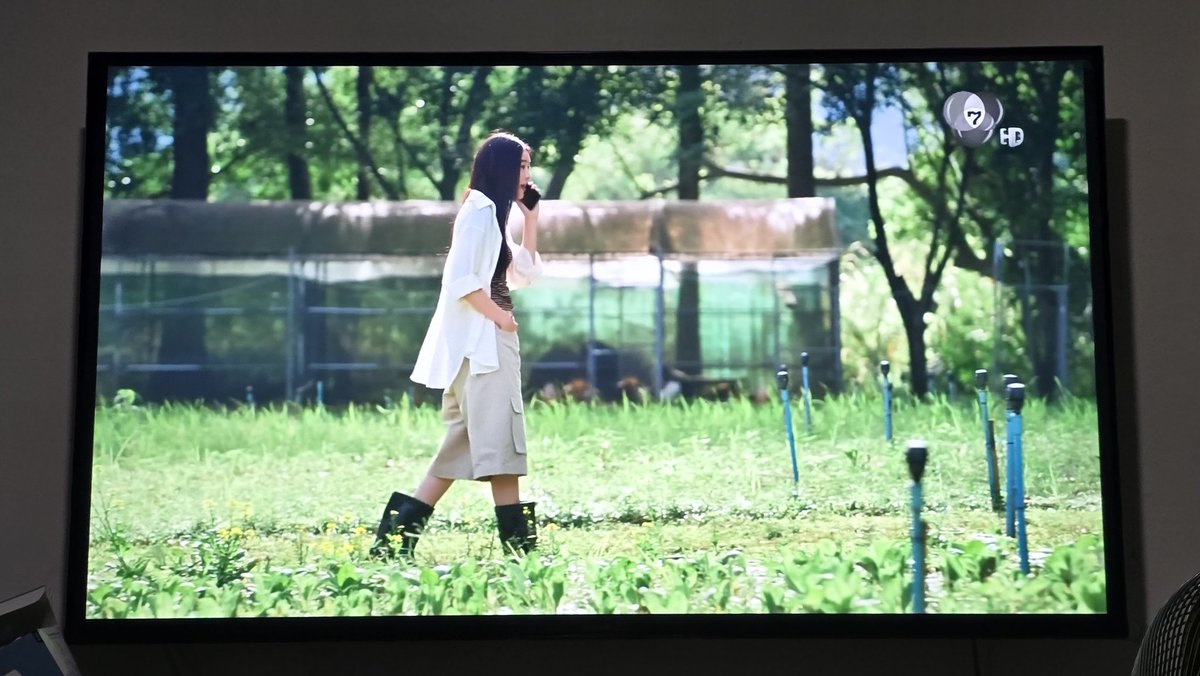 Apple Lapisara FANCLUB tweet media