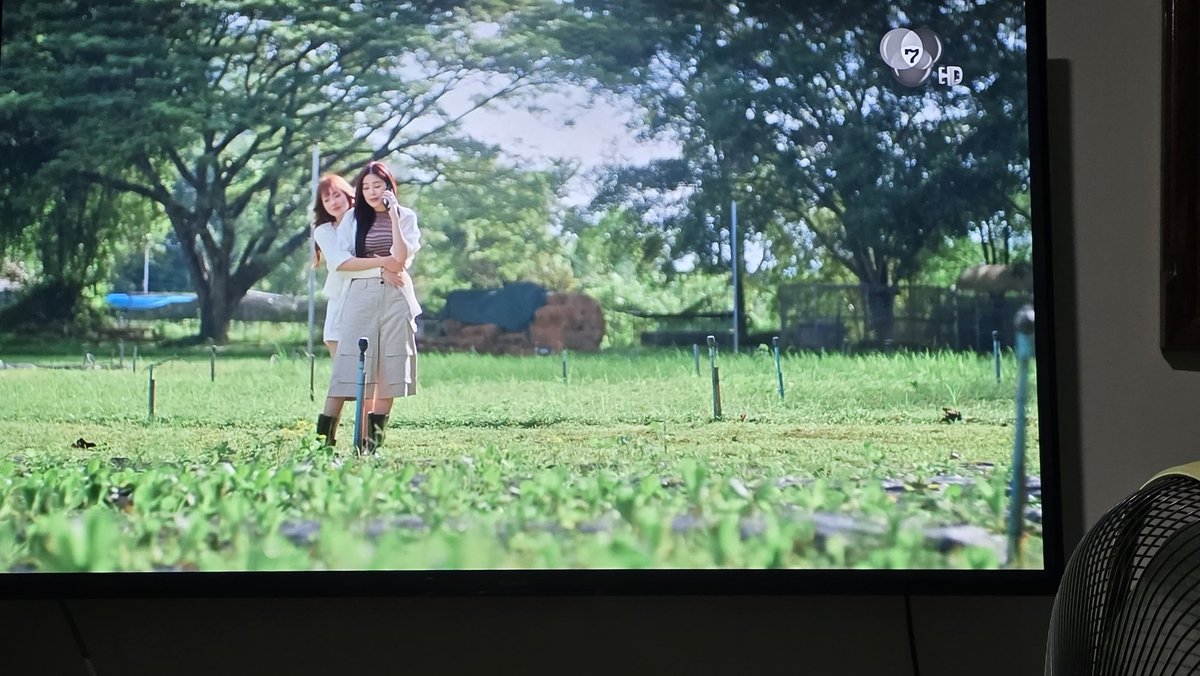 Apple Lapisara FANCLUB tweet media