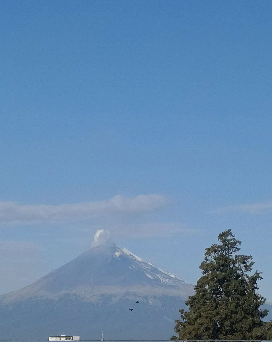 AWRules_98.⚽️🐺 tweet media