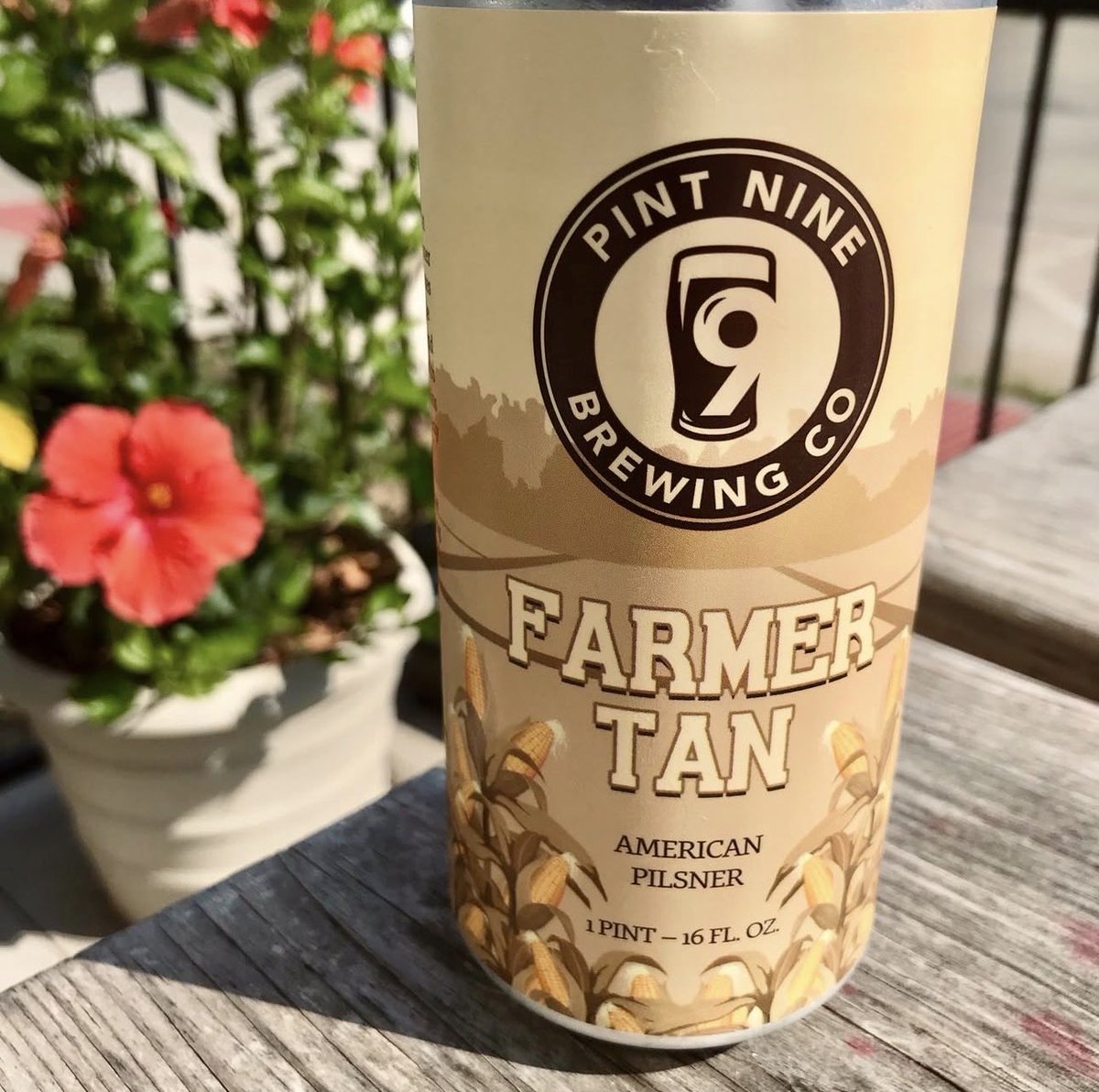 Pint Nine Brewing Co tweet media