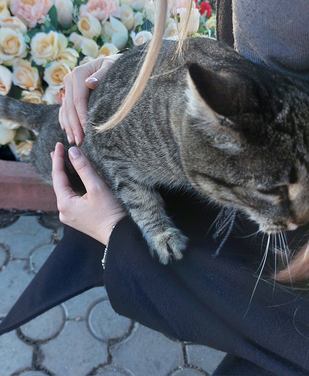 лоля веля велесская × Борис(Ь) tweet media