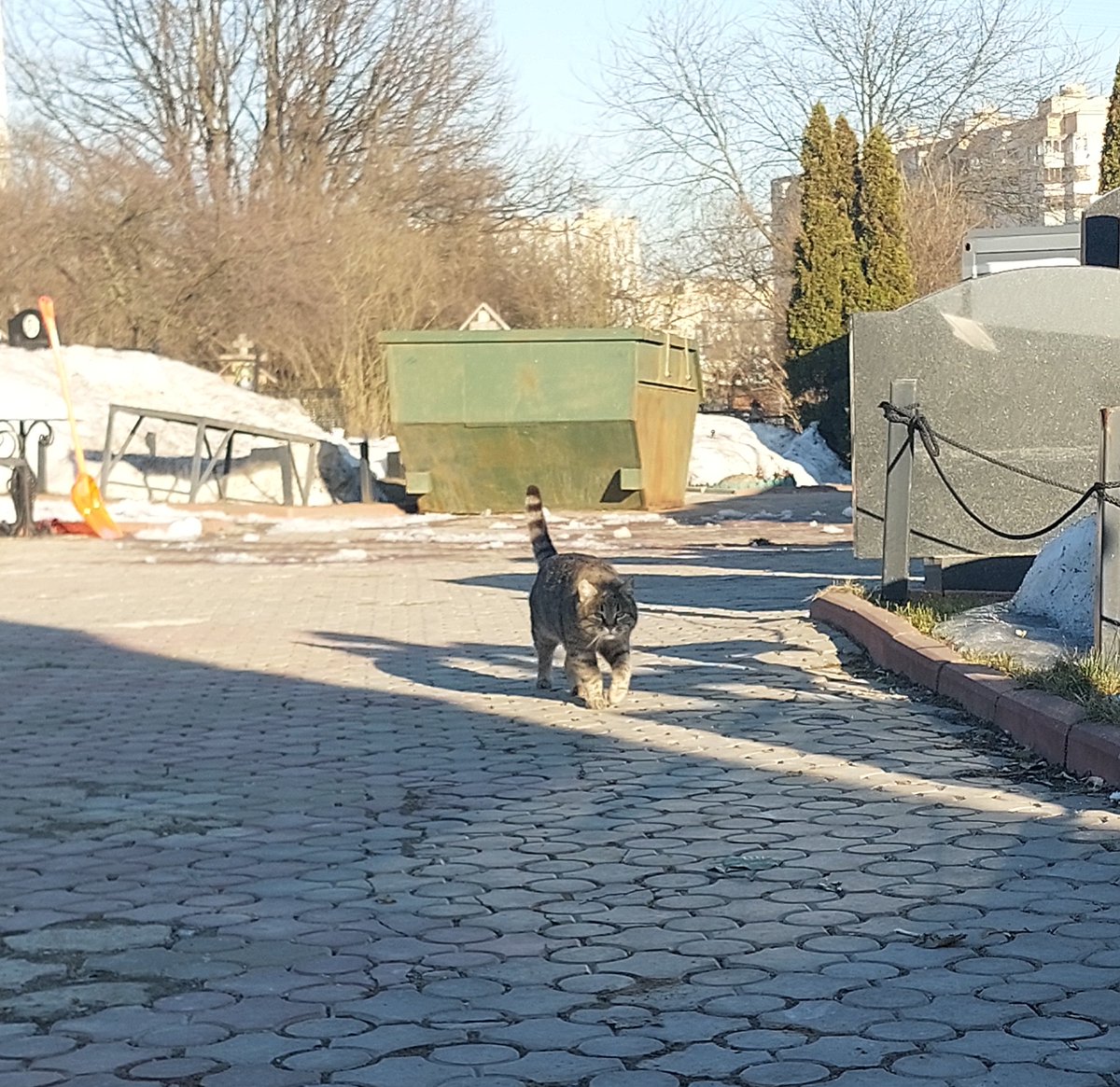 лоля веля велесская × Борис(Ь) tweet media