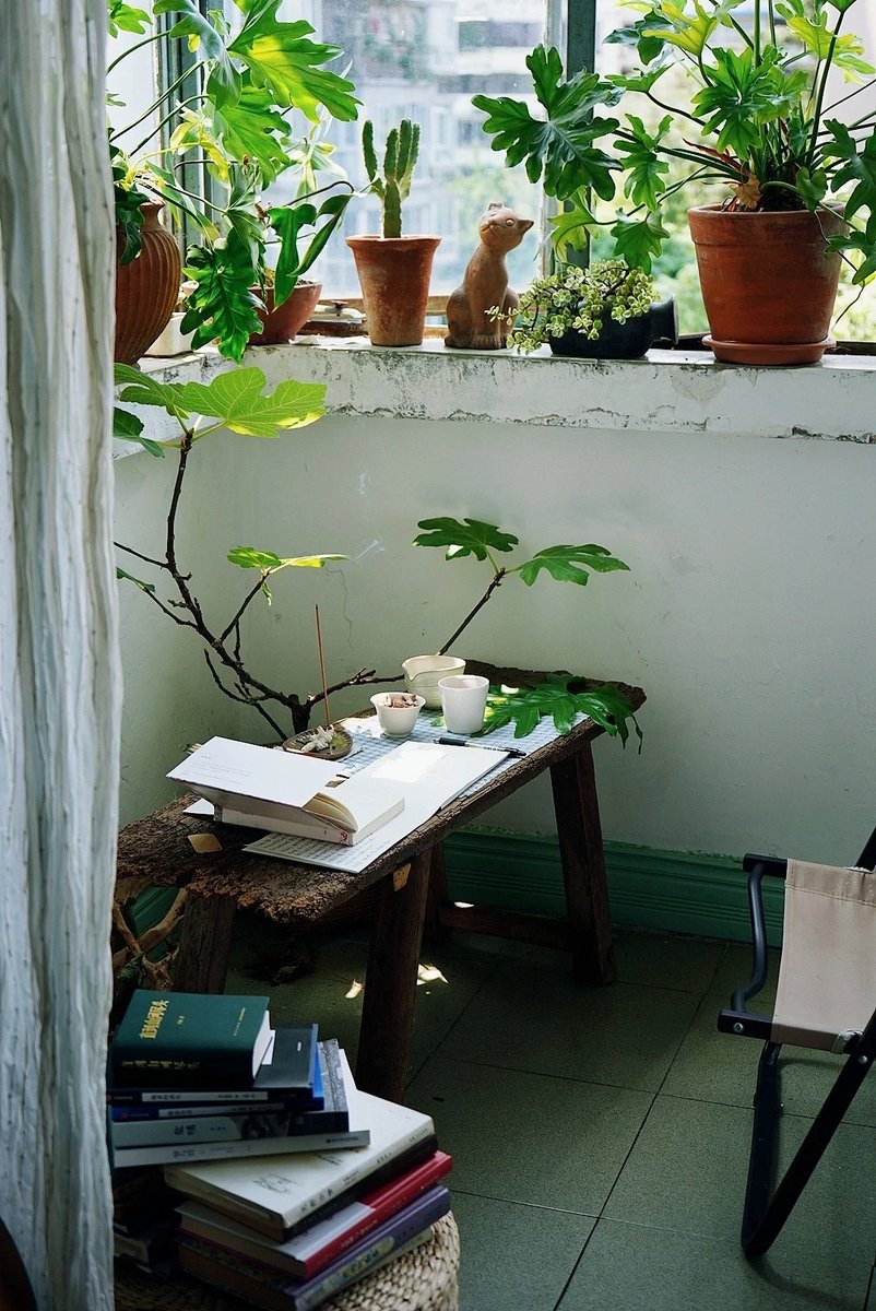 Peter Allen tweet media