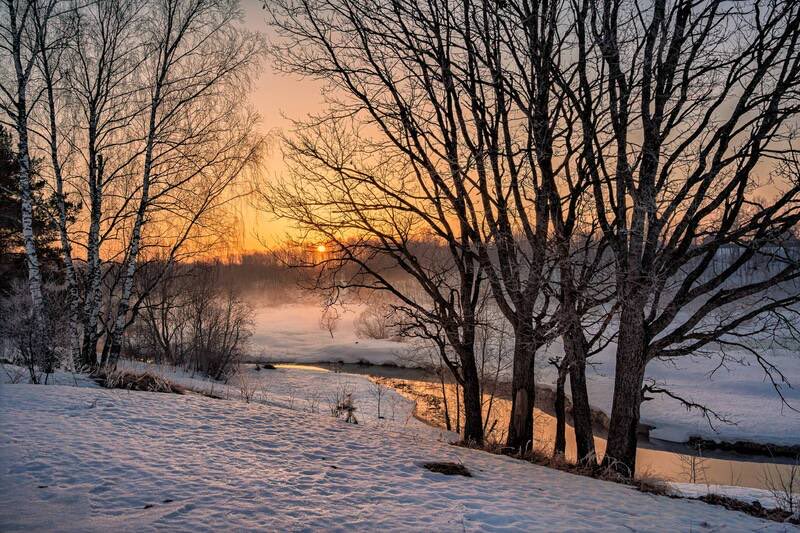 𝑀𝒶𝓇𝒾 𝒟𝒶𝓎𝓈𝒾 tweet media