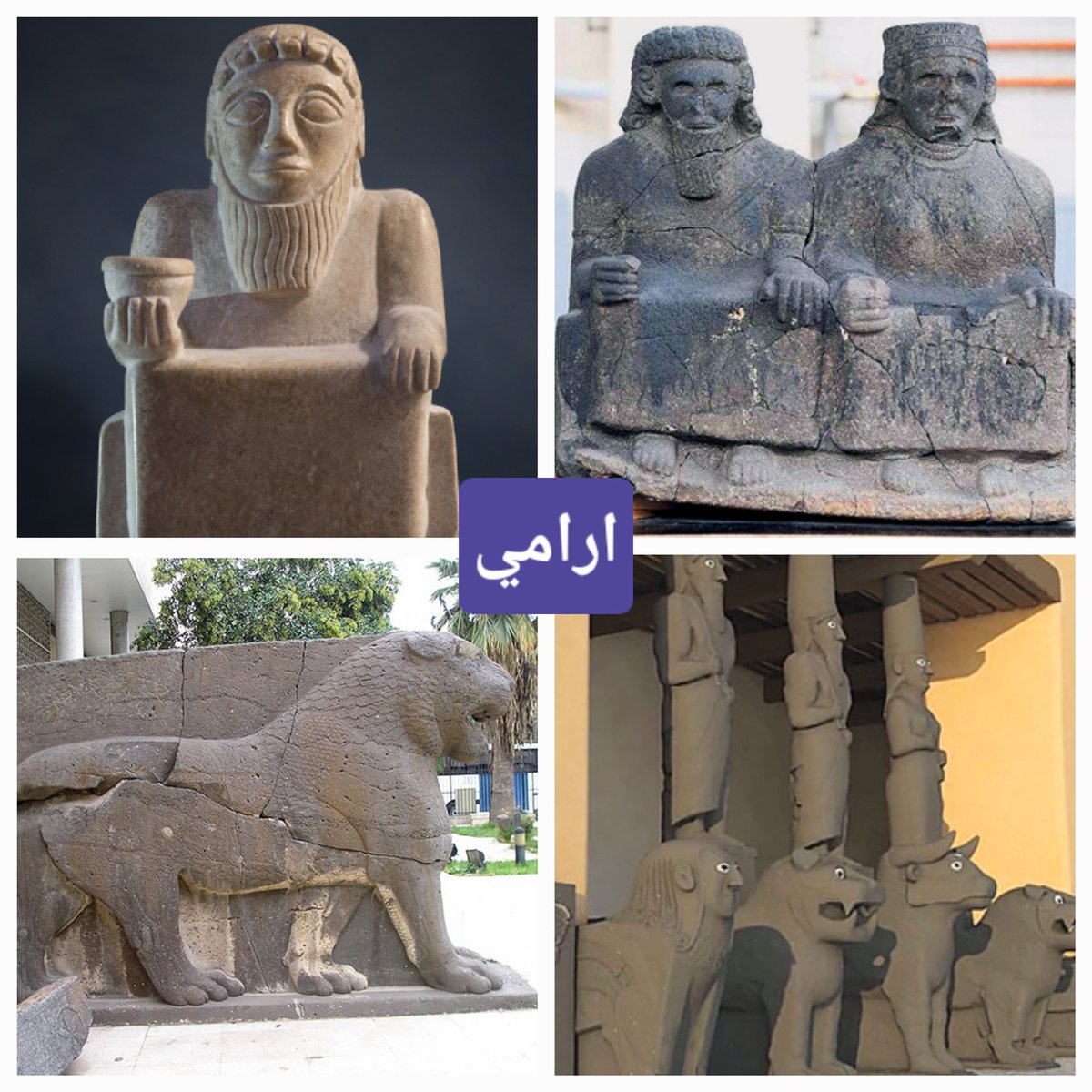 رويال الزبيدي🎖 tweet media