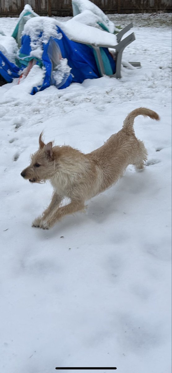 cptbased.base.eth tweet media