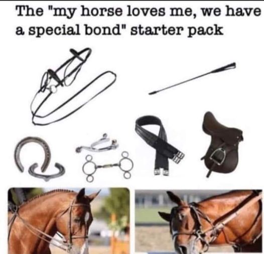 Leen Neus tweet media