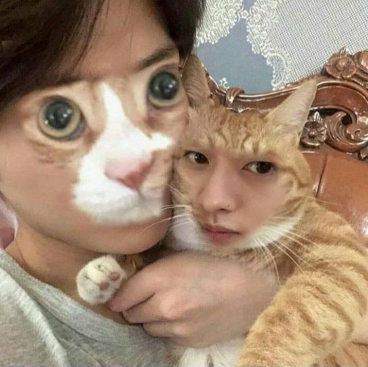 camthalion ☾ wants to be a hobbit tweet media