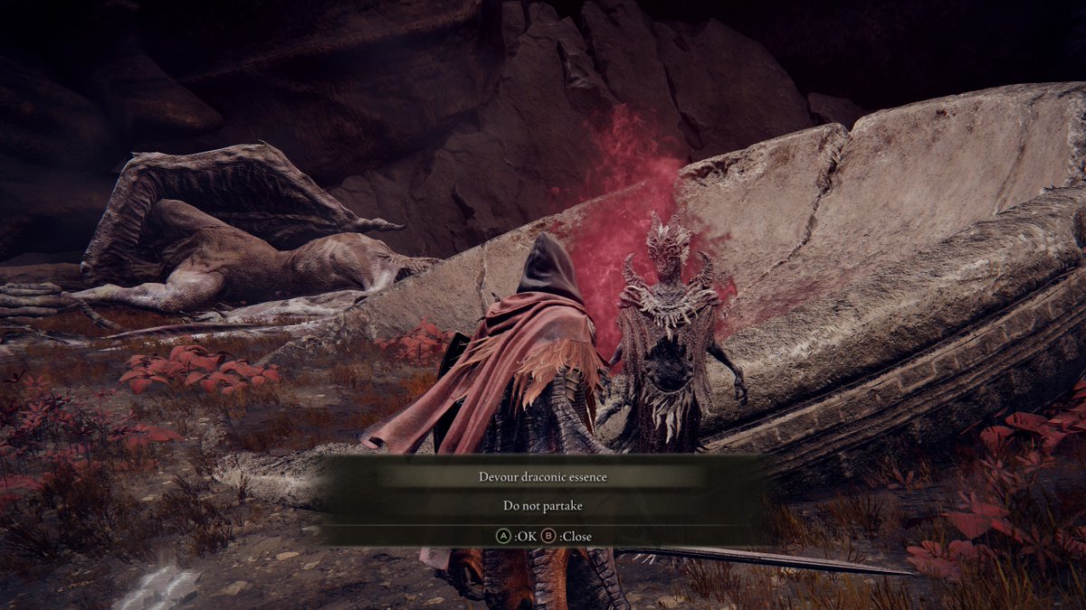 Mayhem 🦋 / Elden Ring tweet media