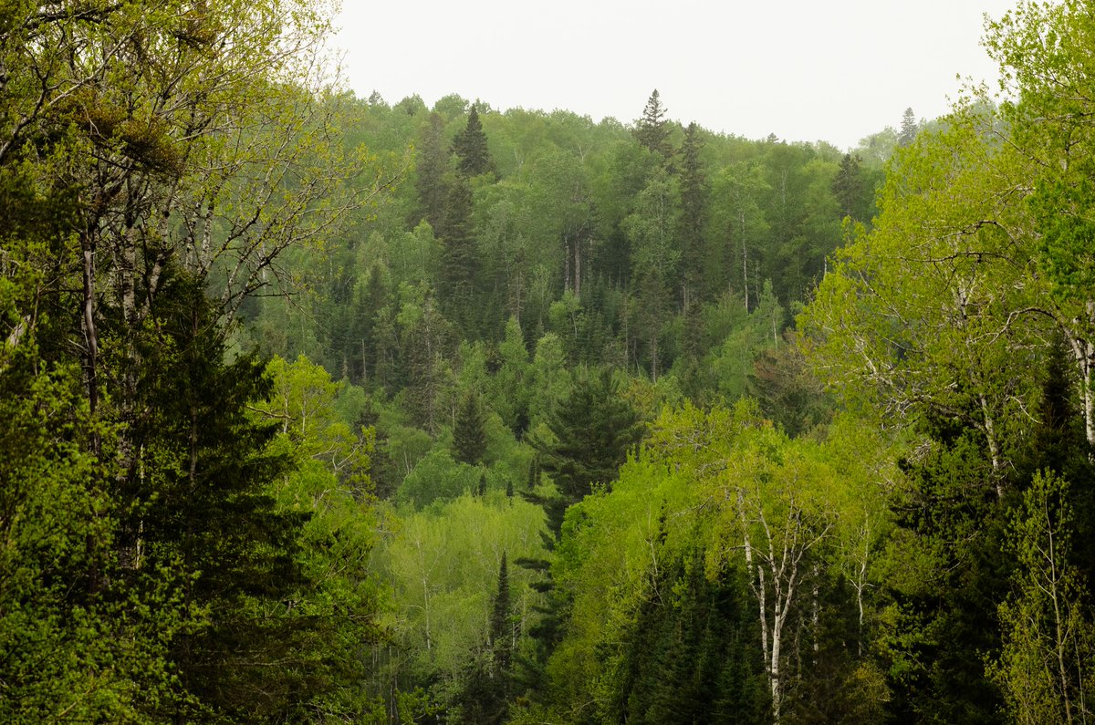 Conservation Ontario tweet media