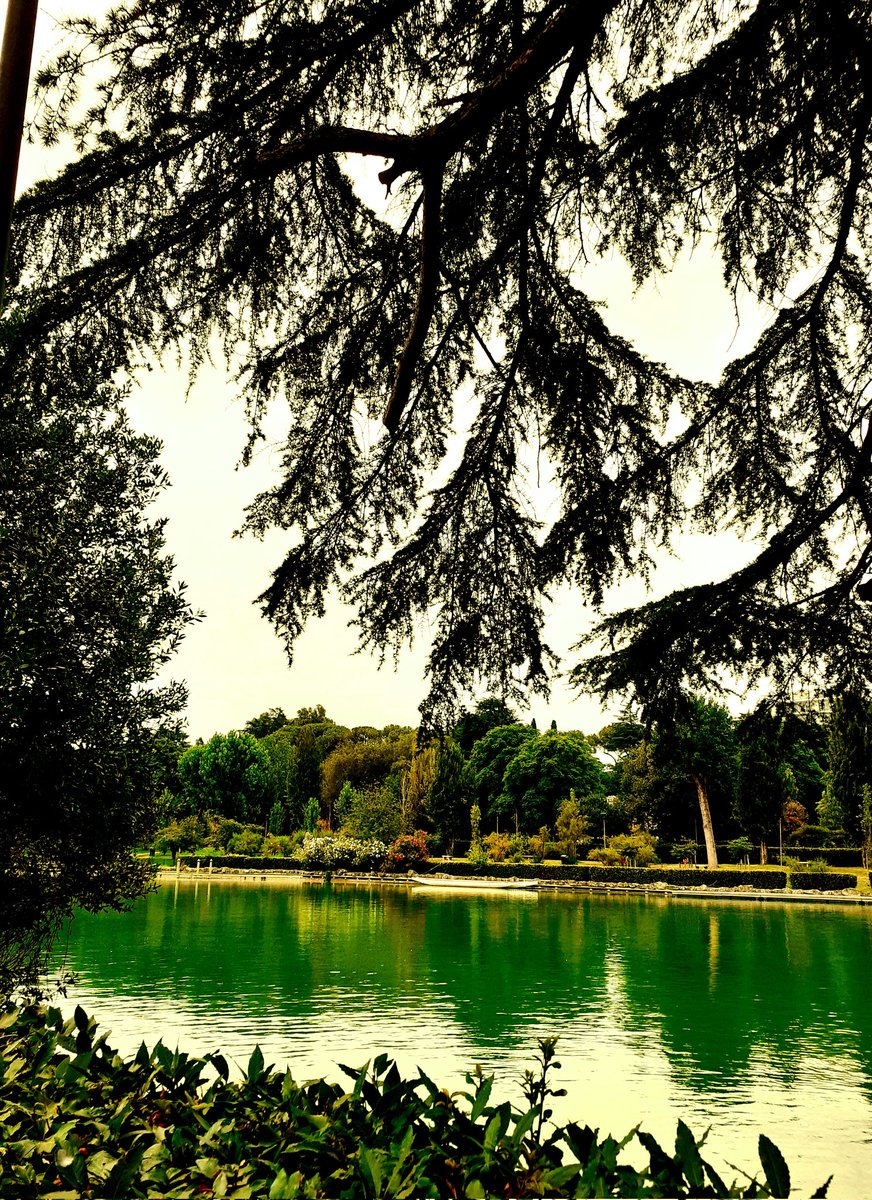 Disciples Du Pape tweet media