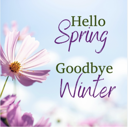 Metamorphosis Literary Agency 📚 🎥 🌎🎙️🎮 tweet media