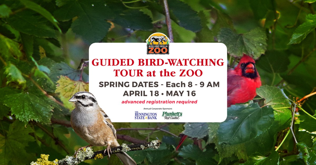 RollingHillsZoo tweet media