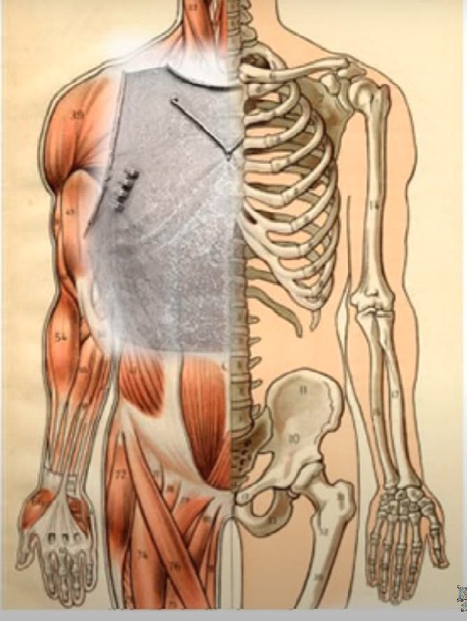 The Late Knight Show tweet media