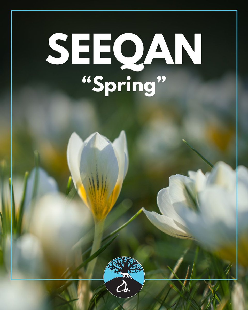 The Mashantucket Pequot Tribal Nation tweet media