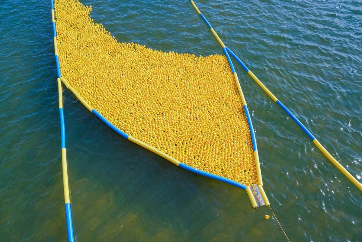 OWA Parks & Resort tweet media