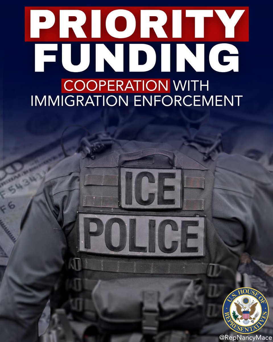 Rep. Nancy Mace tweet media