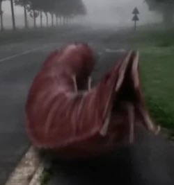 Fourwashere tweet media