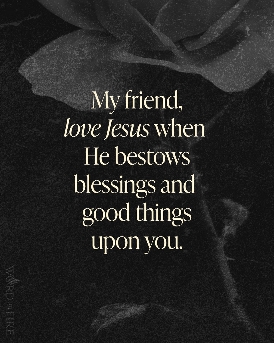 Bishop Robert Barron tweet media