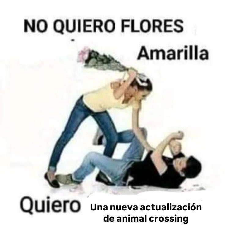 Canelita tweet media