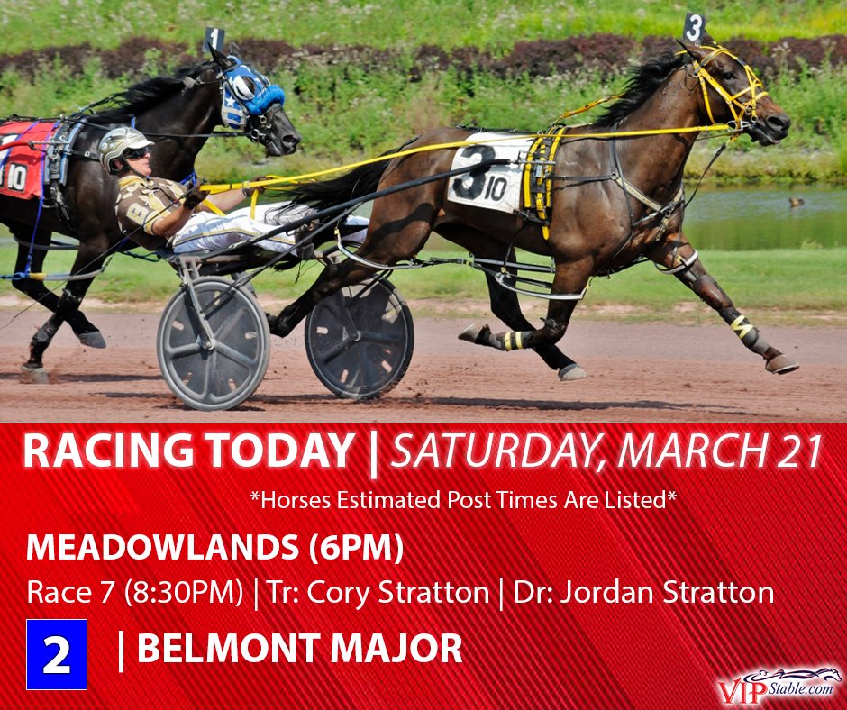 VIP Stable tweet media