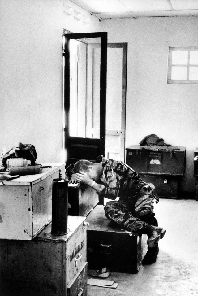 Military Support tweet media