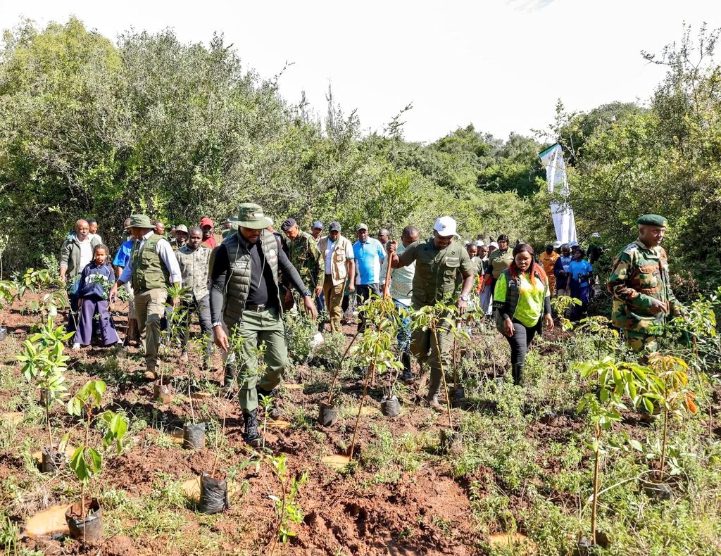 State Dept For Environment & Climate Change tweet media