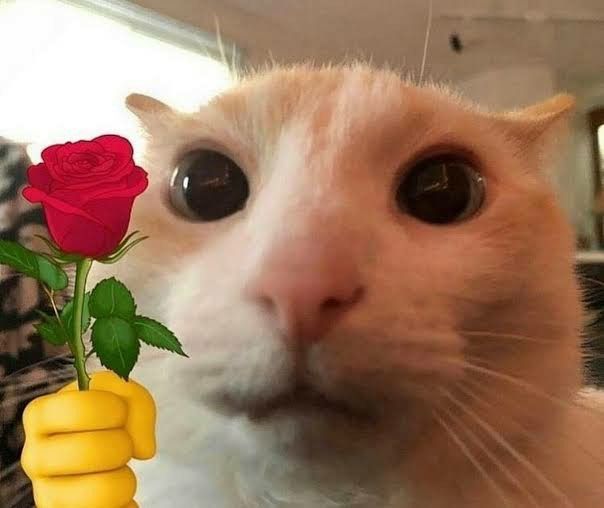 btronbb7 tweet media