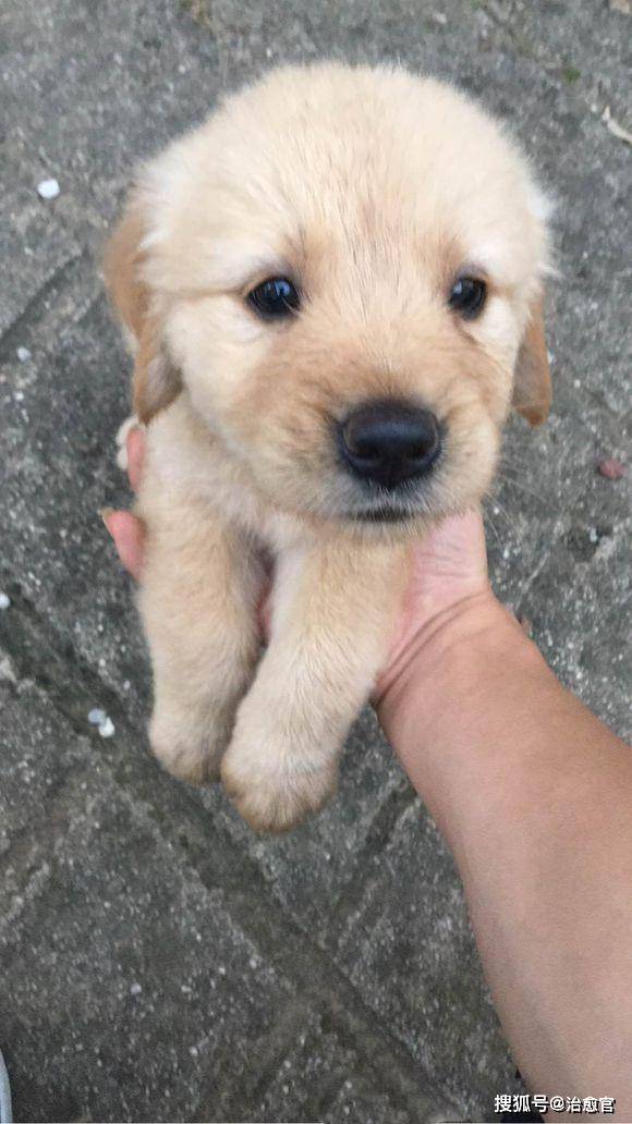 SummerOfficial tweet media