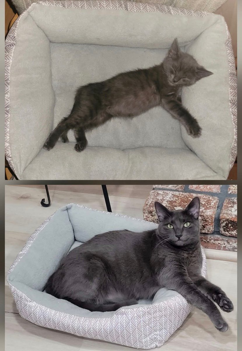 Sara Mary ⭐❤️ tweet media